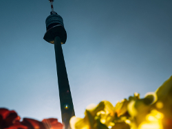 View from the ground to Vienna Danube Tower